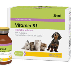 ویتامین ب 1 | Vitamin B1