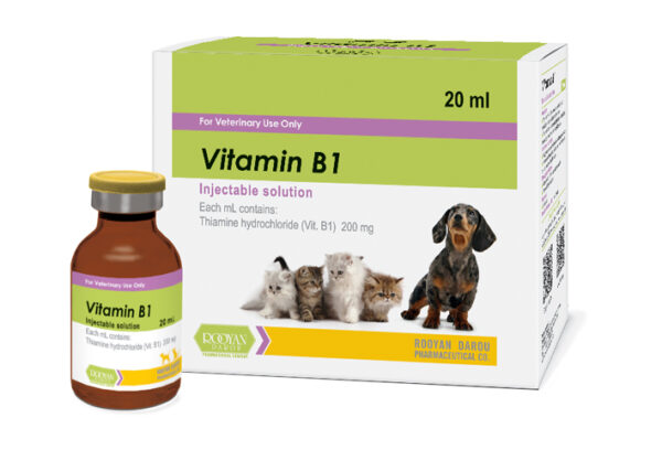 ویتامین ب 1 | Vitamin B1