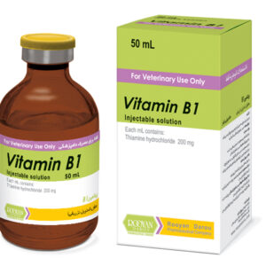 ویتامین ب1 | Vitamin B1